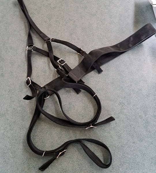 Pony Harness