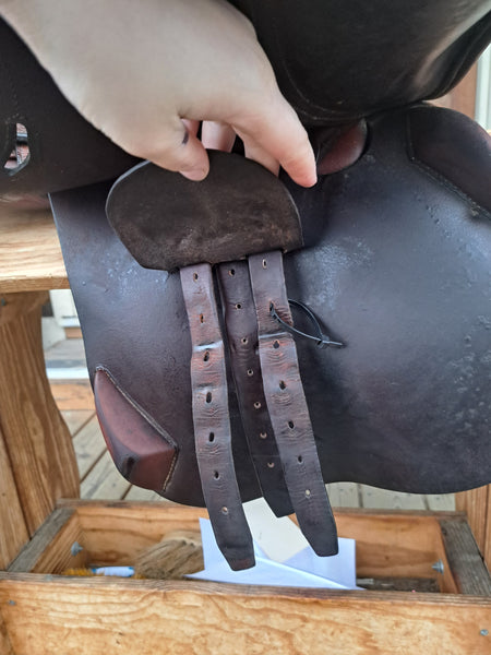 17" Antares Jump/Close Contact Saddle