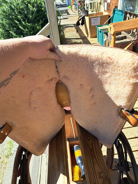 15" Big Horn Bonanza
