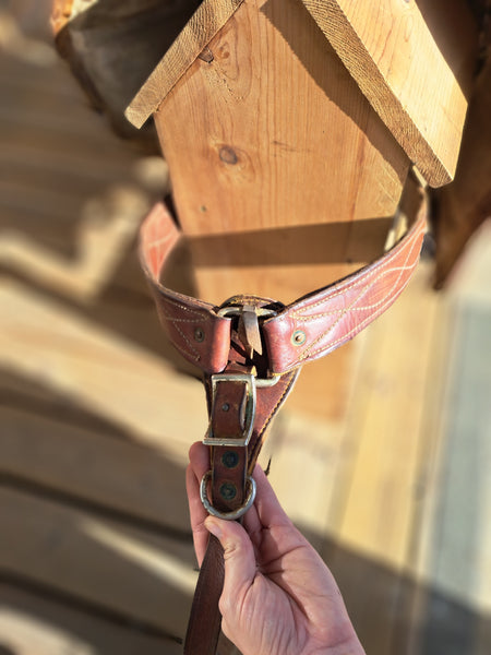 Decker Pack Saddle Package