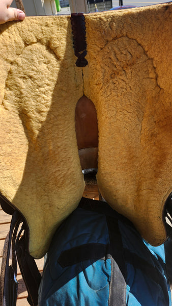 16" Blue Ribbon Western Equitation Show Saddle