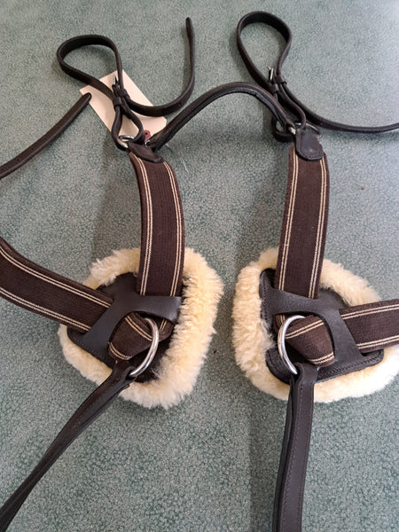 5 Point Breastplate