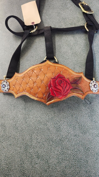 Thunder basin Equine Custom Belle Bronc Halter