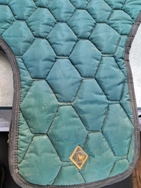 Big D Western Saddle bag
