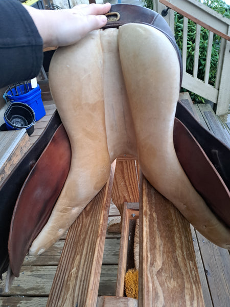 14" Collegiate All Purpose Saddle