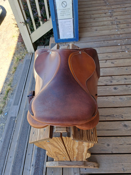16.5" Amerigo Cervia Jump Saddle