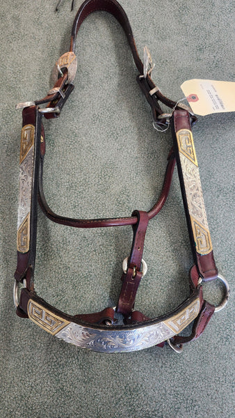 Dale Chavez Show Halter