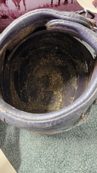 USED Size 2 Cavallo Simple Hoof Boot