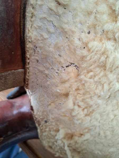 15" Billy Cook Western Equitation Show Saddle