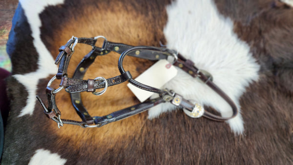 Silver Mesa Show Halter