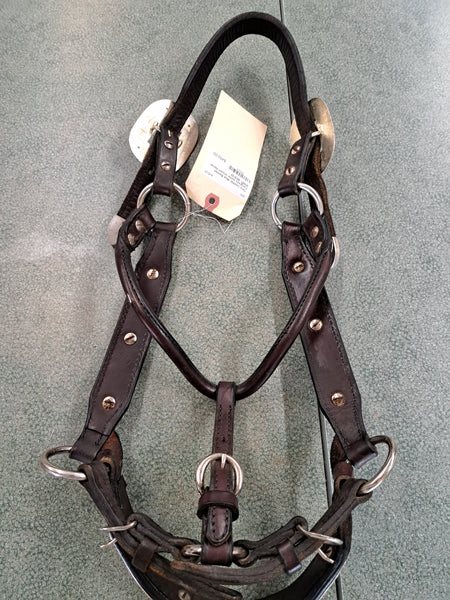 Tory Leather Blue Bonnet Congress Halter