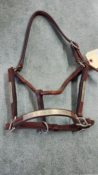 Champion Turf Show Halter
