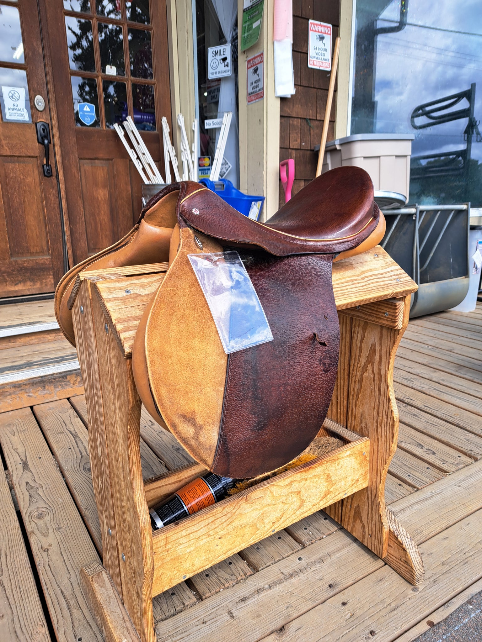 16.5" Courbette Classic All Purpose Saddle