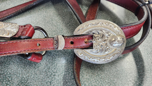 Dale Chavez Show Halter With Lead