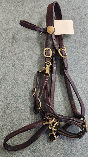 Leather Halter Bridle