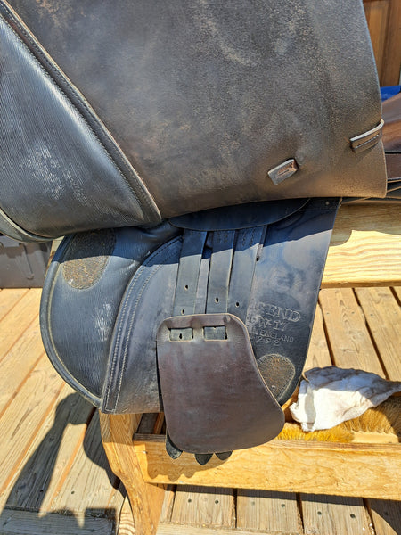 17" Albion Lengend