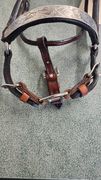 YEARLING Dale Chavez Show Halter