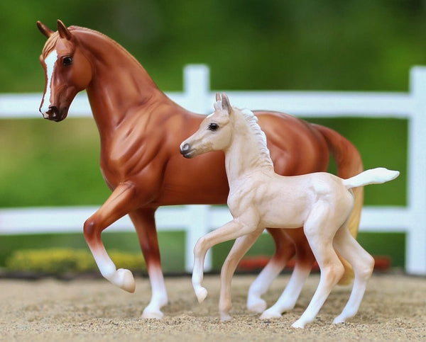 NEW Breyer Power and Precision set