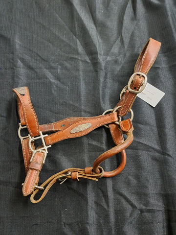 Champion turf show halter