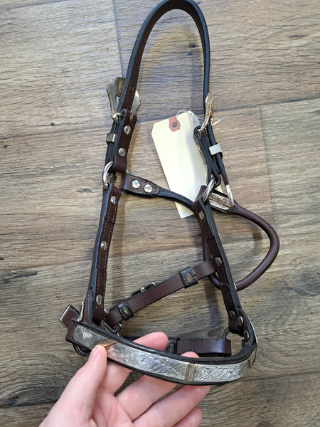 Yearling Circle Y Silver Show Halter