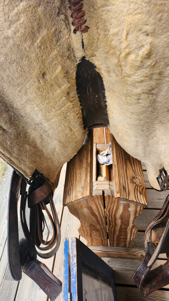 15" Circle Y Western Equitation Show Saddle