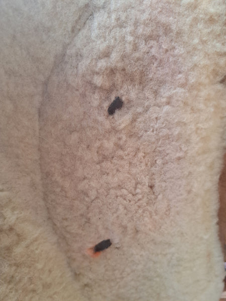 16" Western Trail/Equitation Saddle