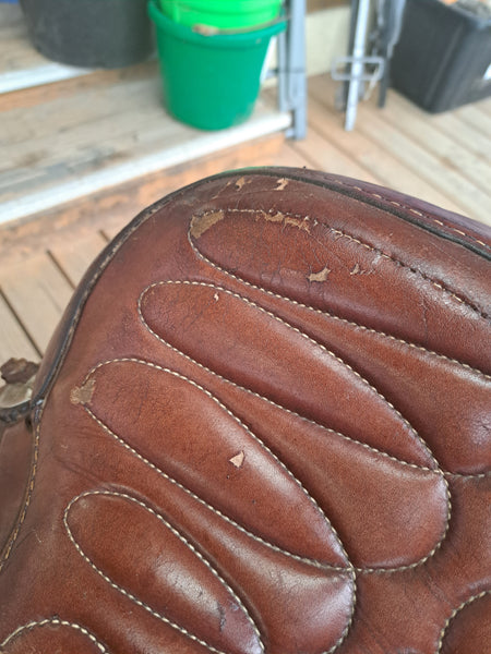 16" Western Trail/Equitation Saddle