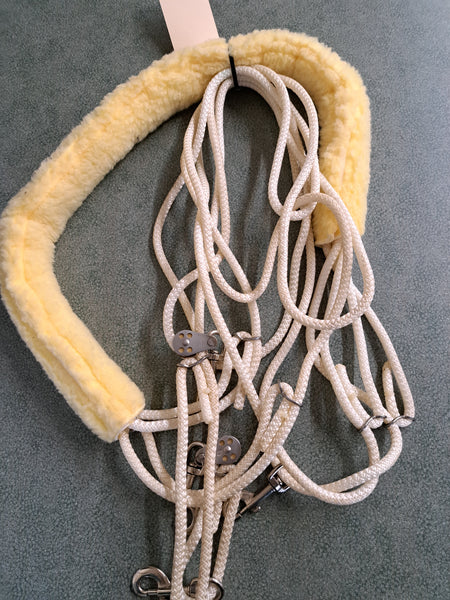 Pessoa Lunging System