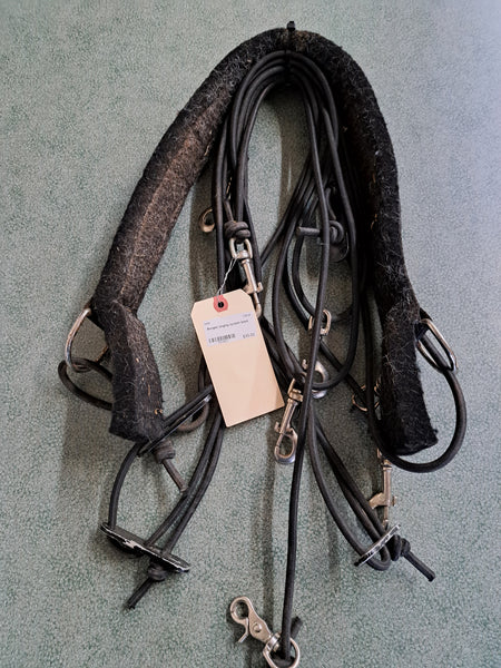 Bungee Lunging System