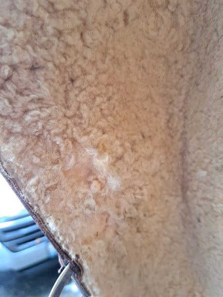 15" Billy Cook Western Equitation Show Saddle