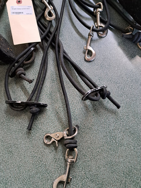 Bungee Lunging System
